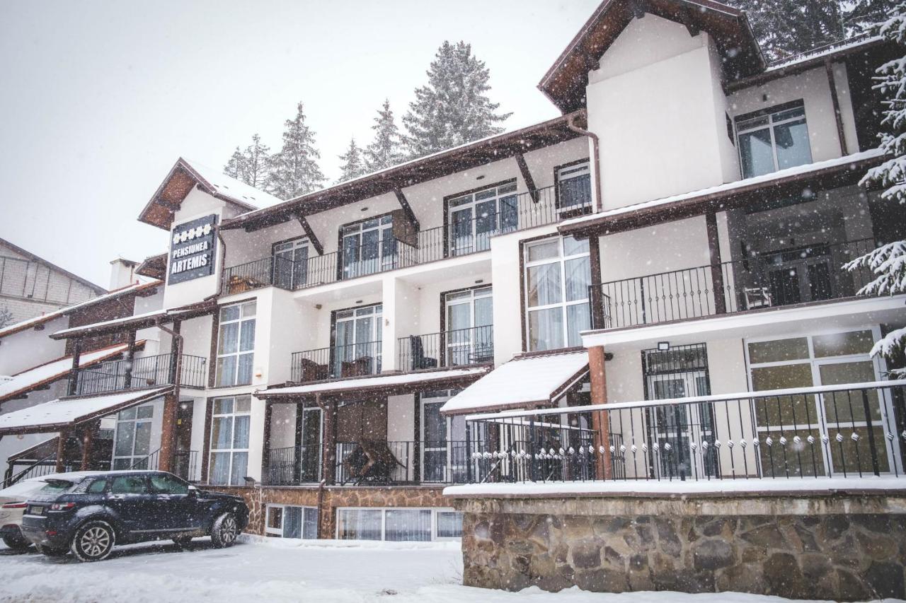 Artemis Villa Poiana Brașov Zewnętrze zdjęcie