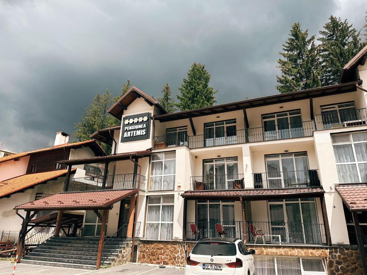 Artemis Villa Poiana Brașov Zewnętrze zdjęcie