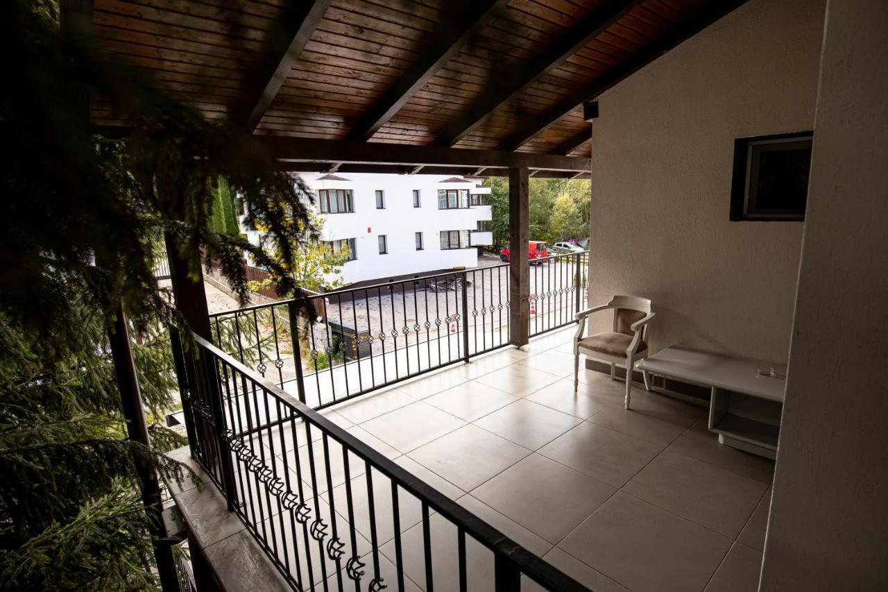 Artemis Villa Poiana Brașov Zewnętrze zdjęcie