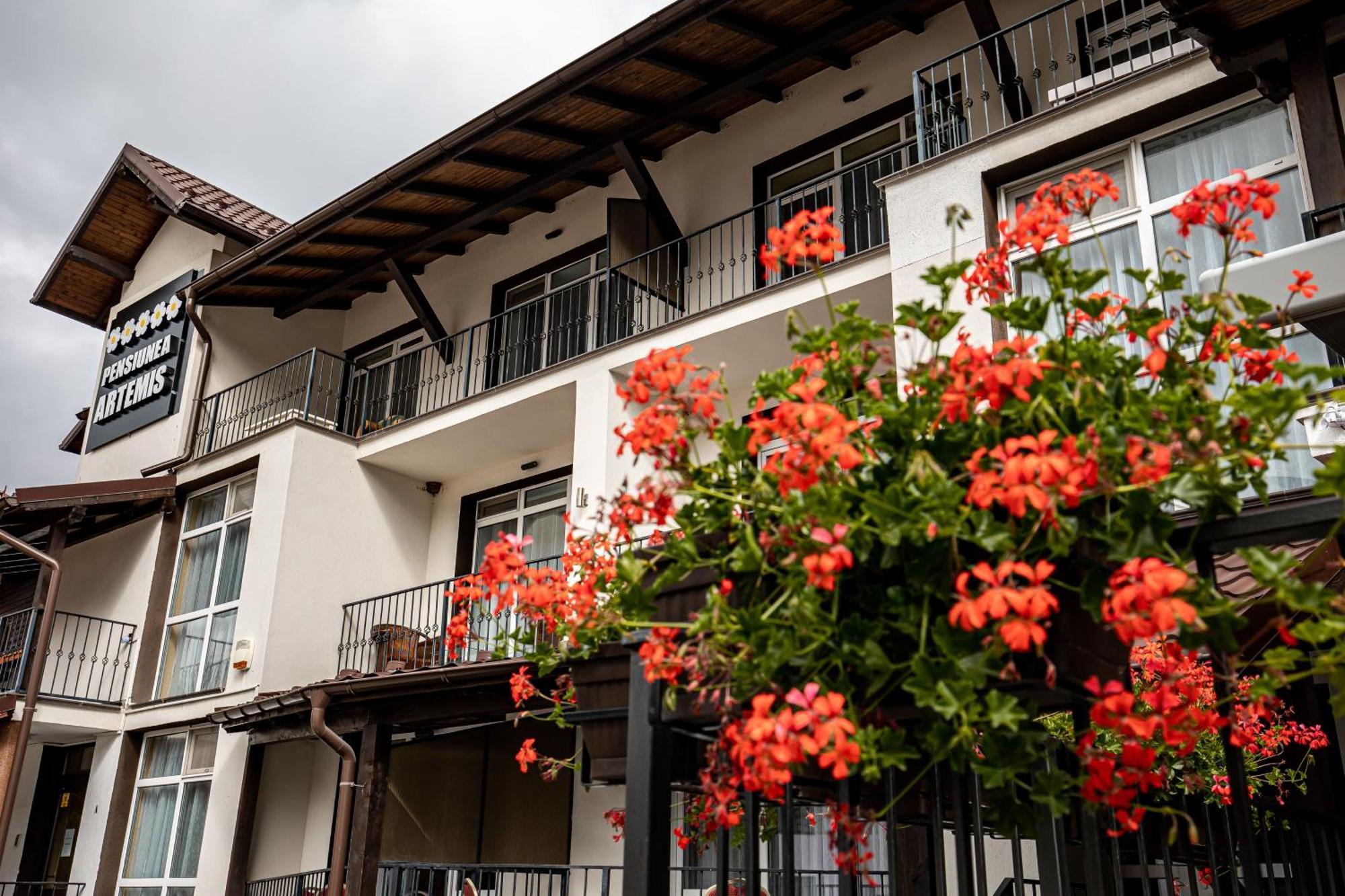 Artemis Villa Poiana Brașov Zewnętrze zdjęcie