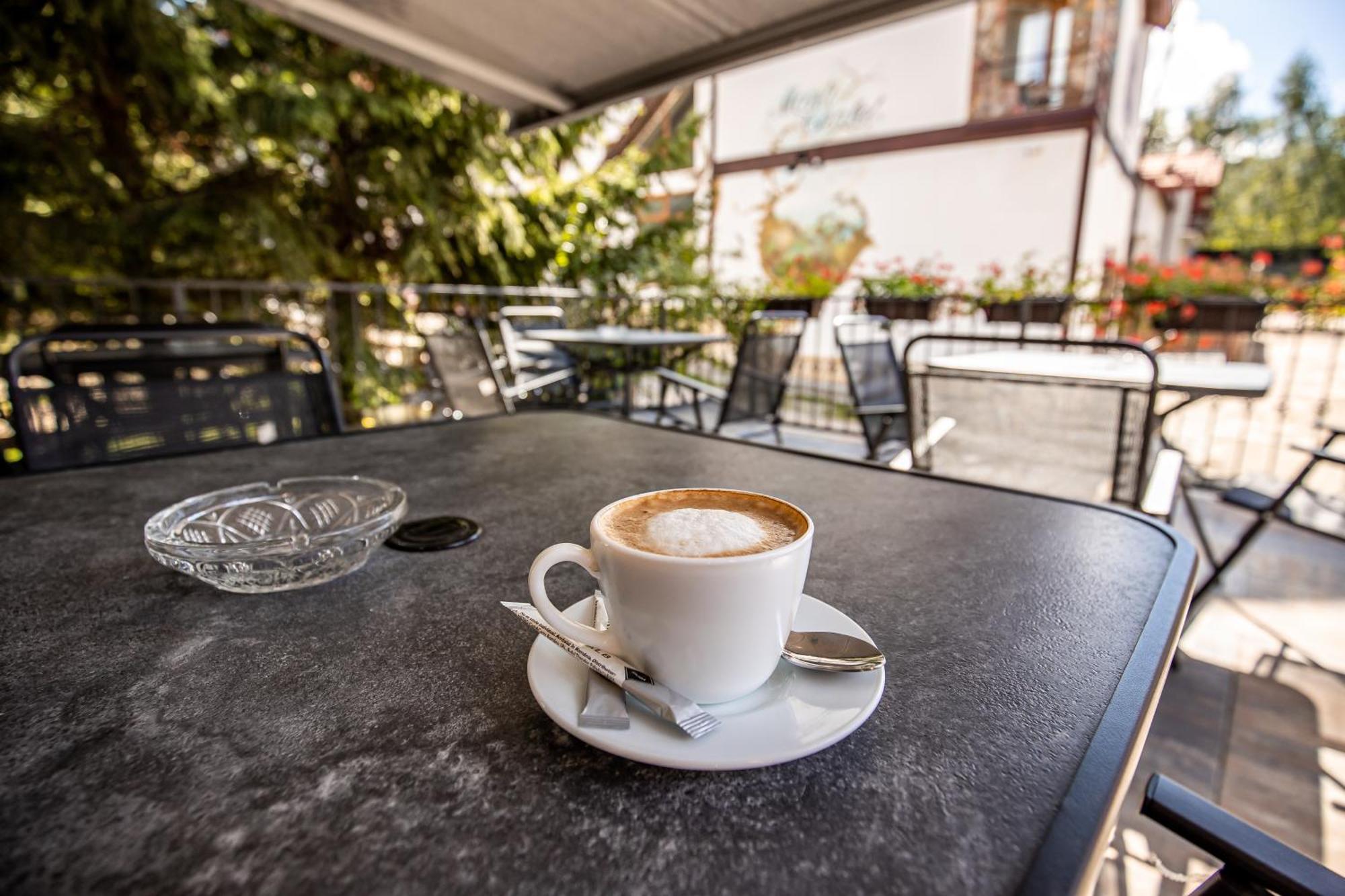 Artemis Villa Poiana Brașov Zewnętrze zdjęcie