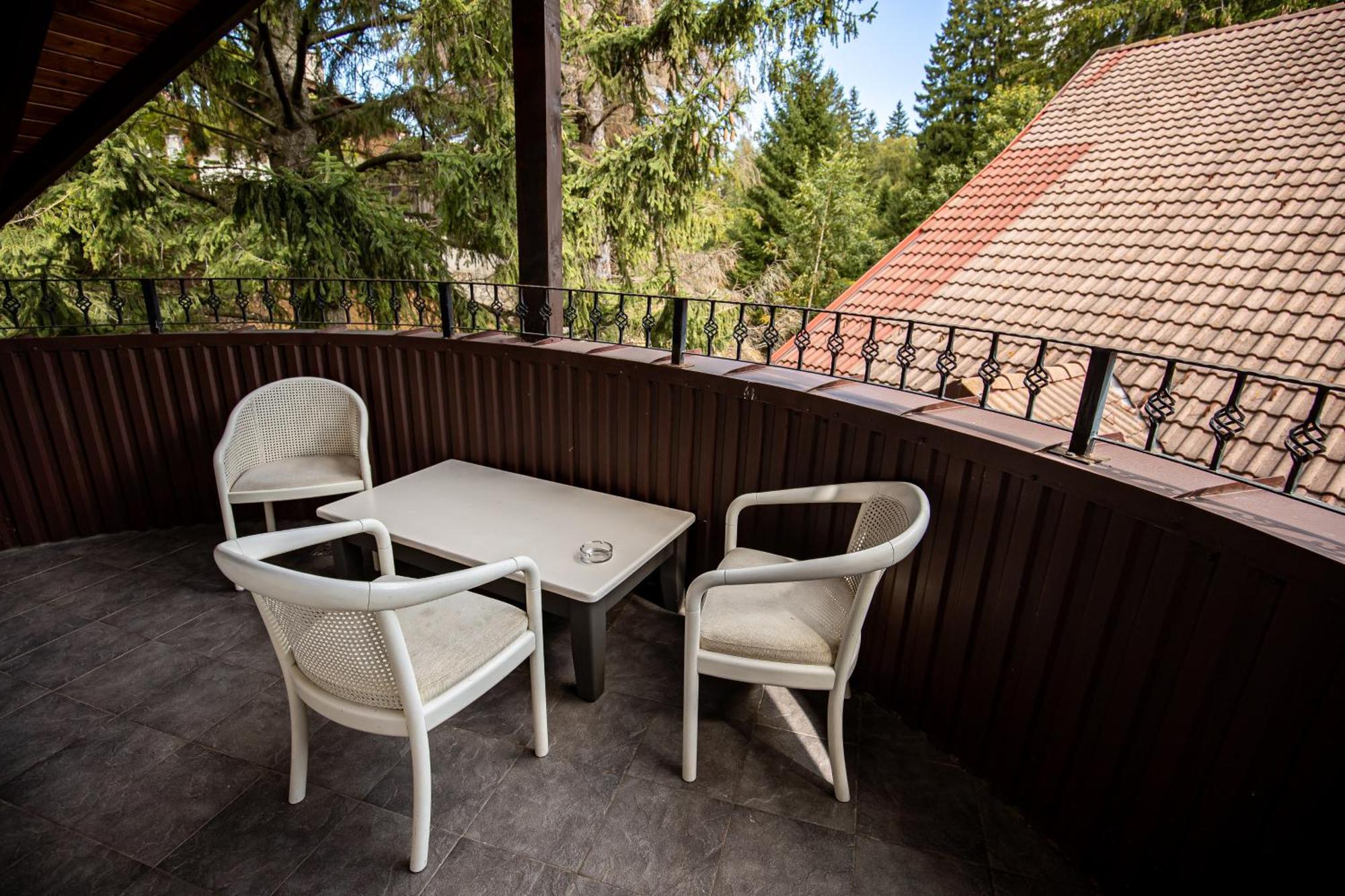 Artemis Villa Poiana Brașov Zewnętrze zdjęcie