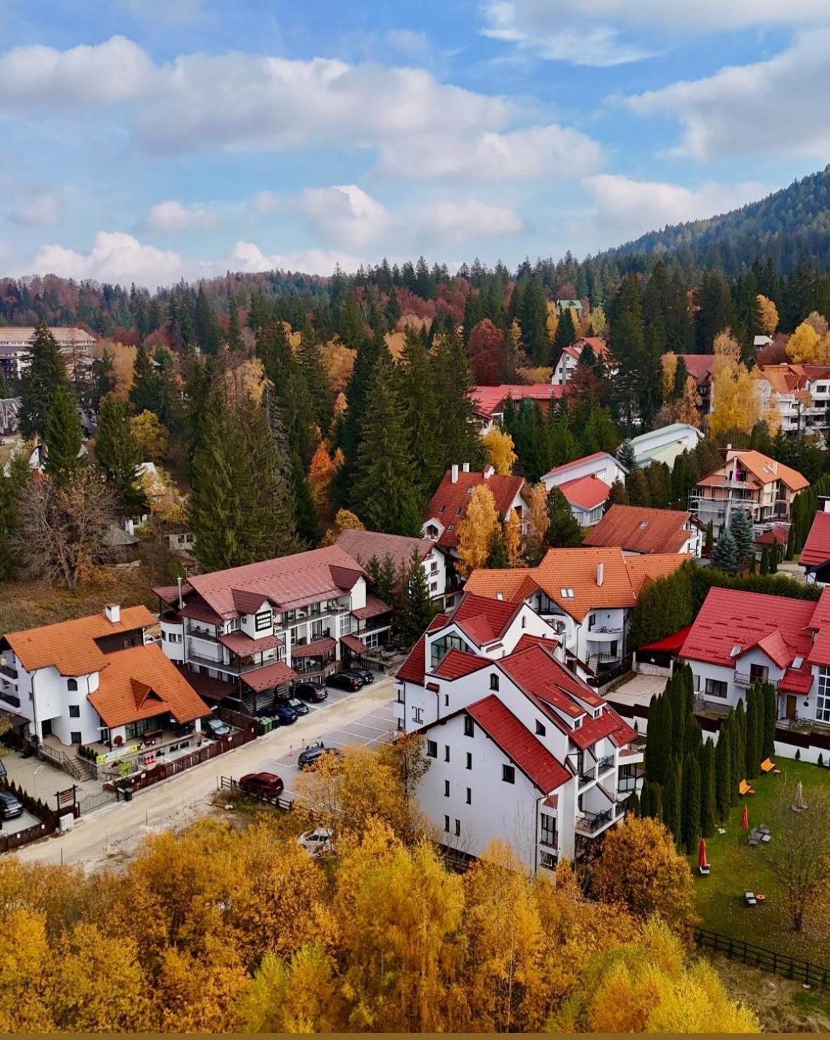 Artemis Villa Poiana Brașov Zewnętrze zdjęcie