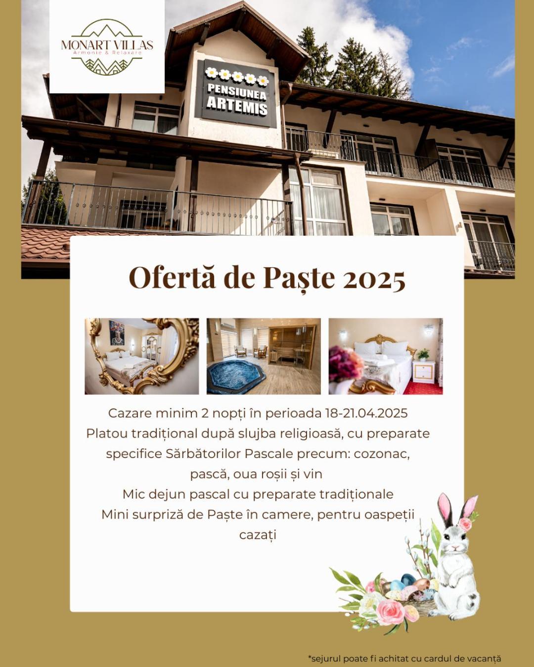 Artemis Villa Poiana Brașov Zewnętrze zdjęcie